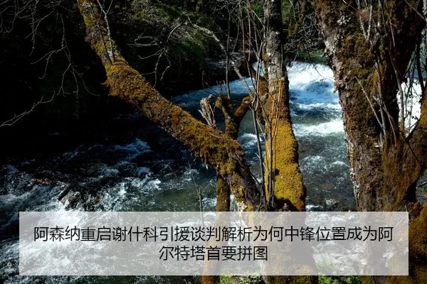 阿森纳重启谢什科引援谈判解析为何中锋位置成为阿尔特塔首要拼图